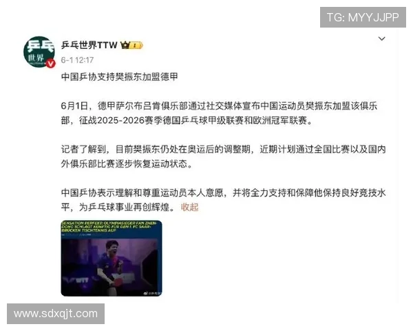 乒乓球力量实力榜单权威发布揭示顶尖选手竞技状态与潜力分析 乒乓球力量实力榜单权威发布揭示顶尖选手竞技状态与潜力分析