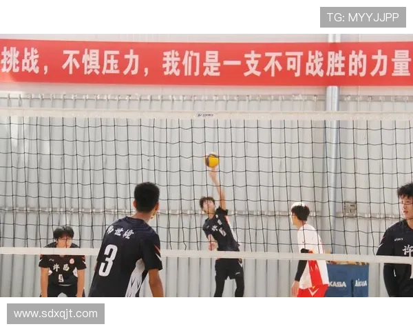 排球盛宴:深入解析上海排球队的默契与团队精神 排球盛宴:深入解析上海排球队的默契与团队精神