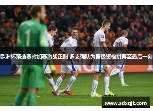 欧洲杯预选赛附加赛激战正酣 多支强队为晋级资格拼搏至最后一刻